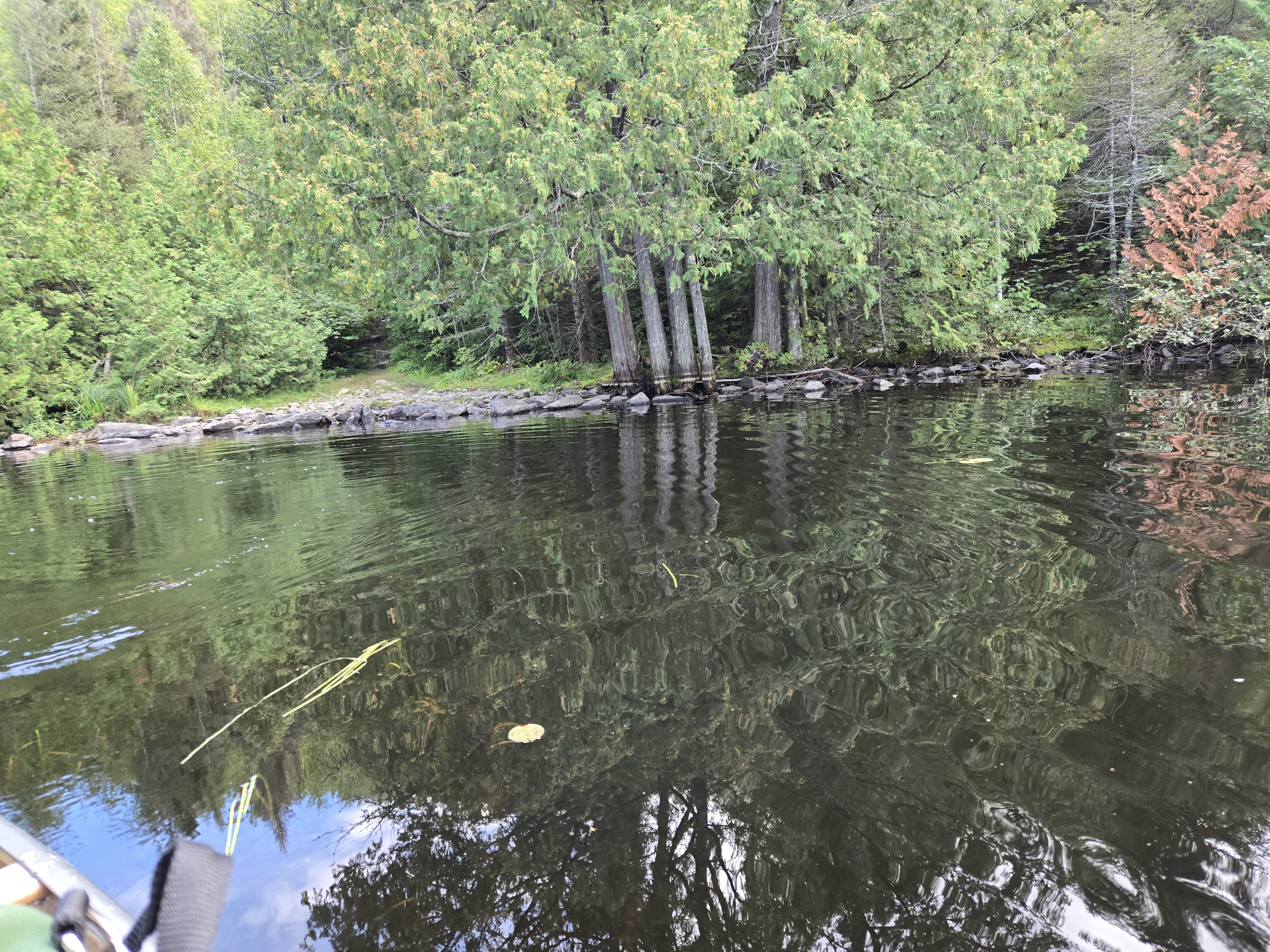 Approach to the portage from Kekekabic