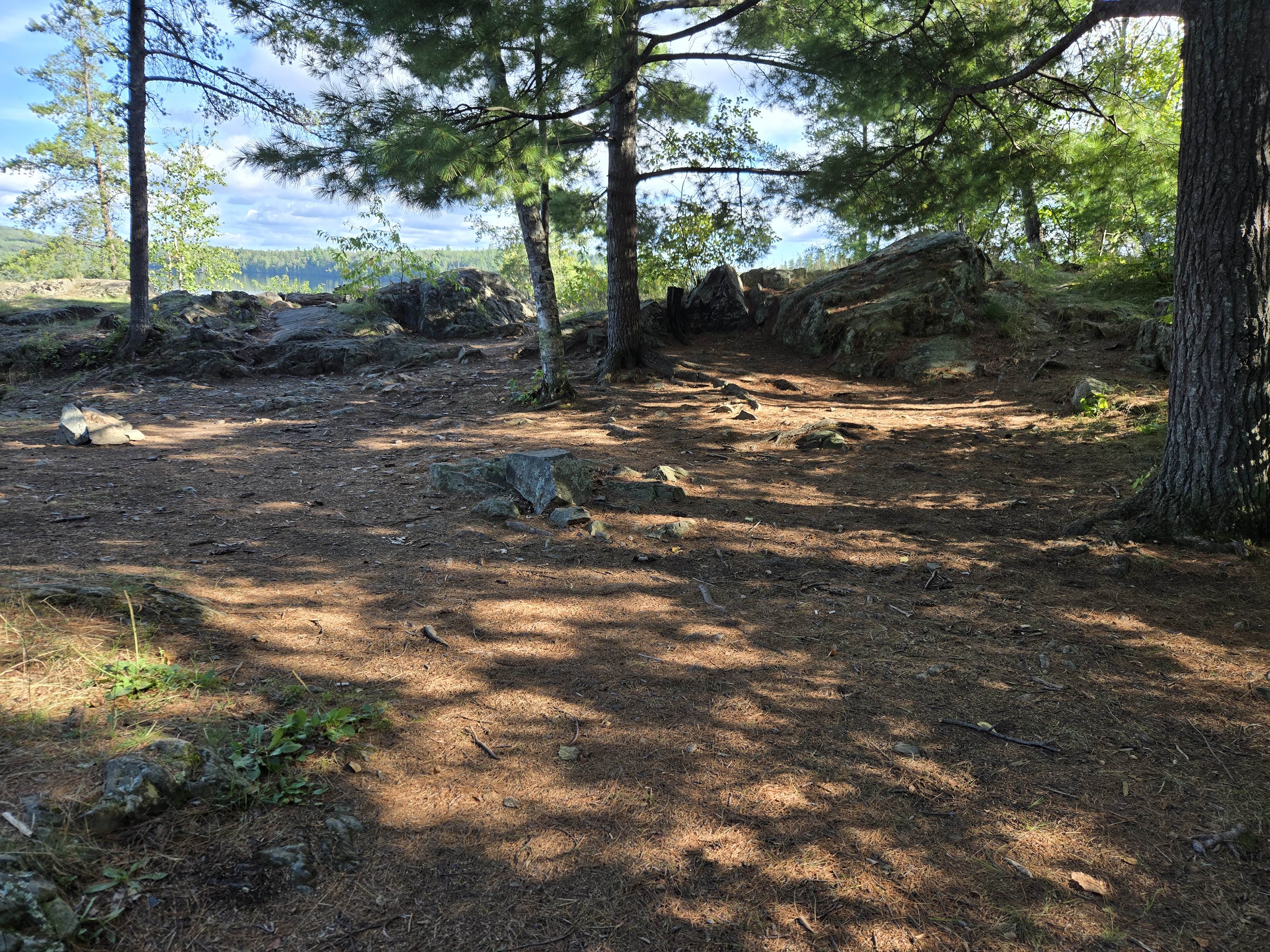 Open space in middle of site