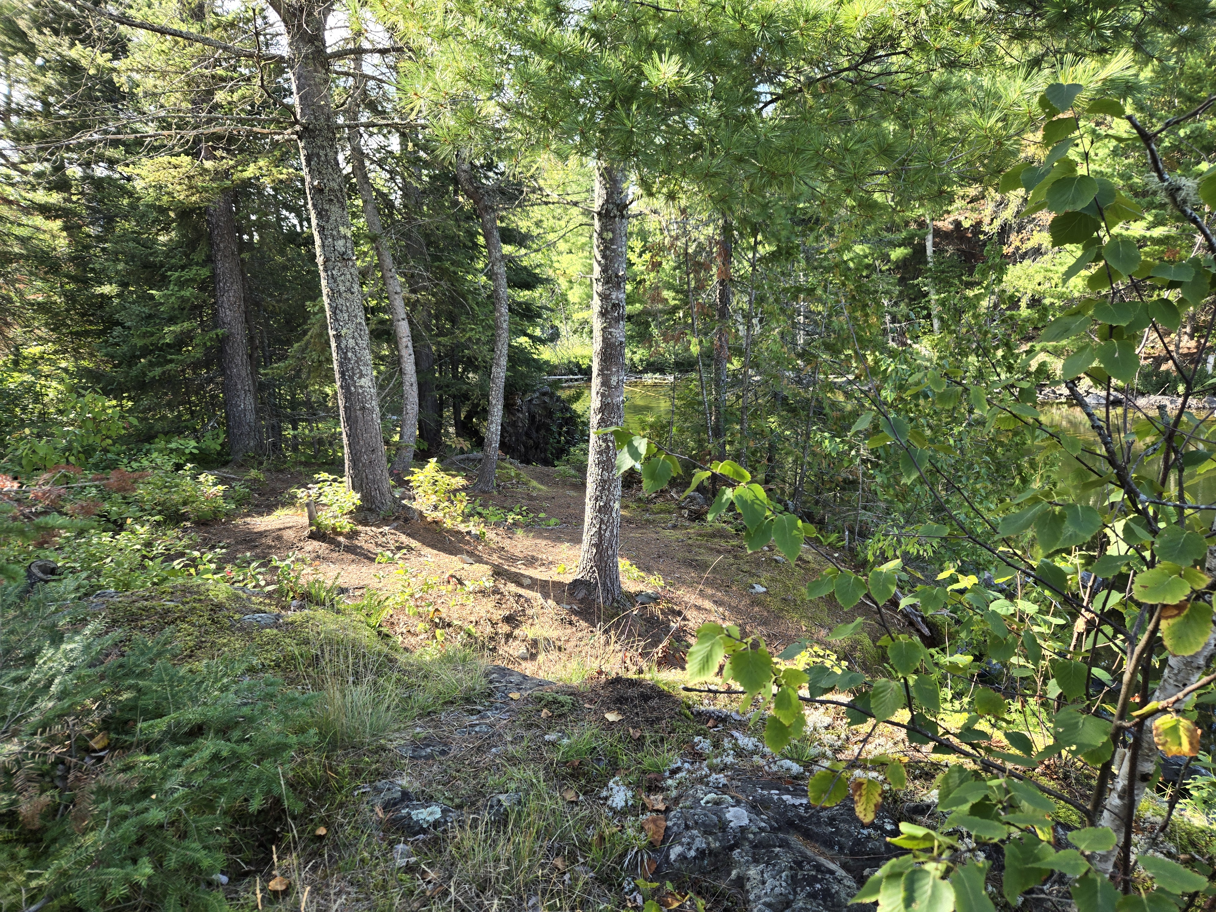 Extended back path