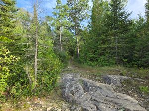 Rough climb out of Pickle Lake