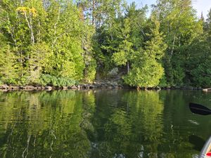 Approach to portage on Spoon Lake to Pickle Lake