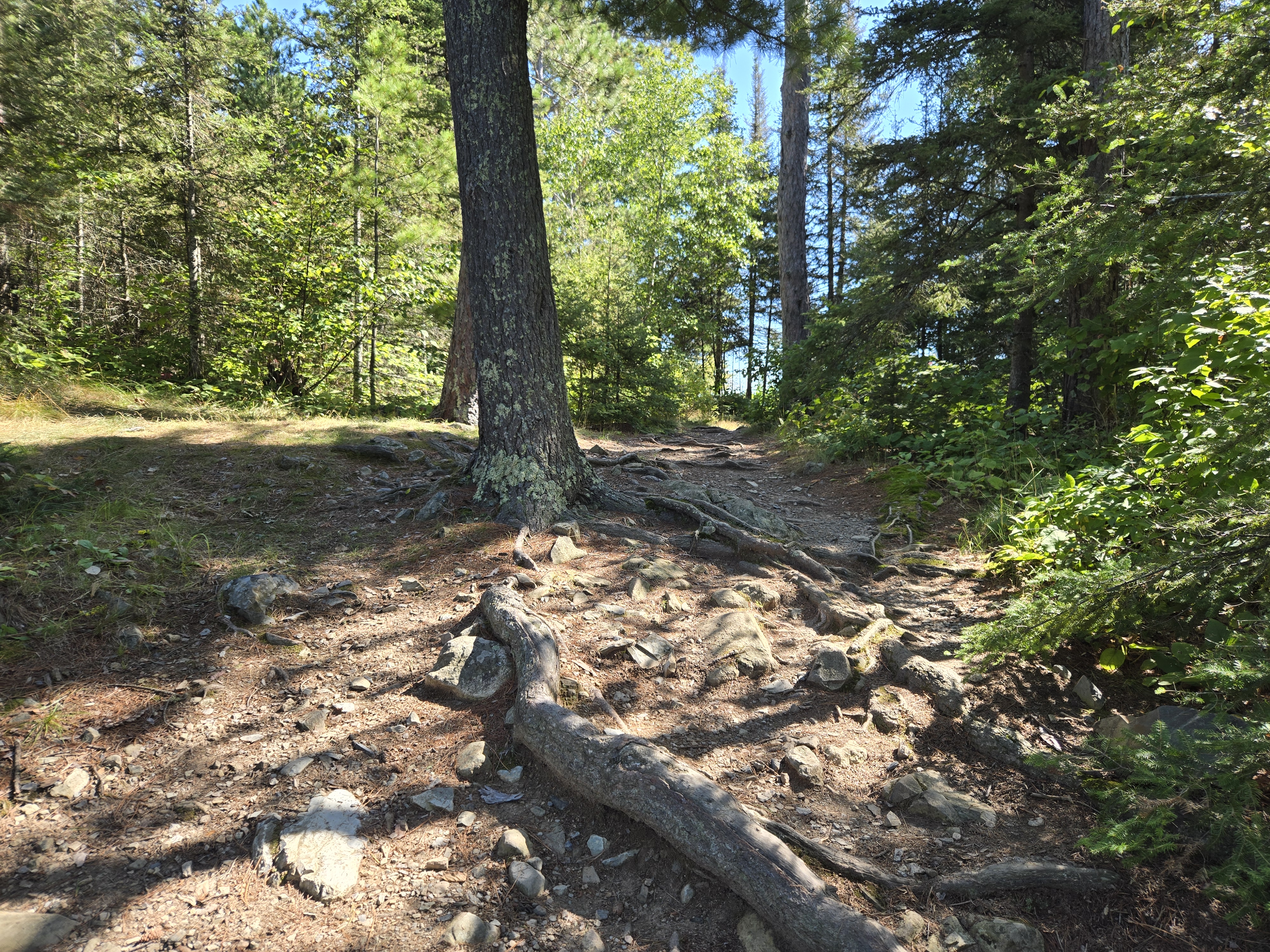 Path to main site area