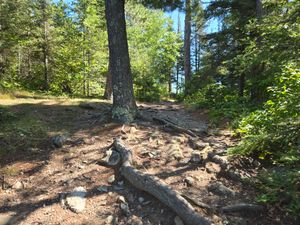 Path to main site area