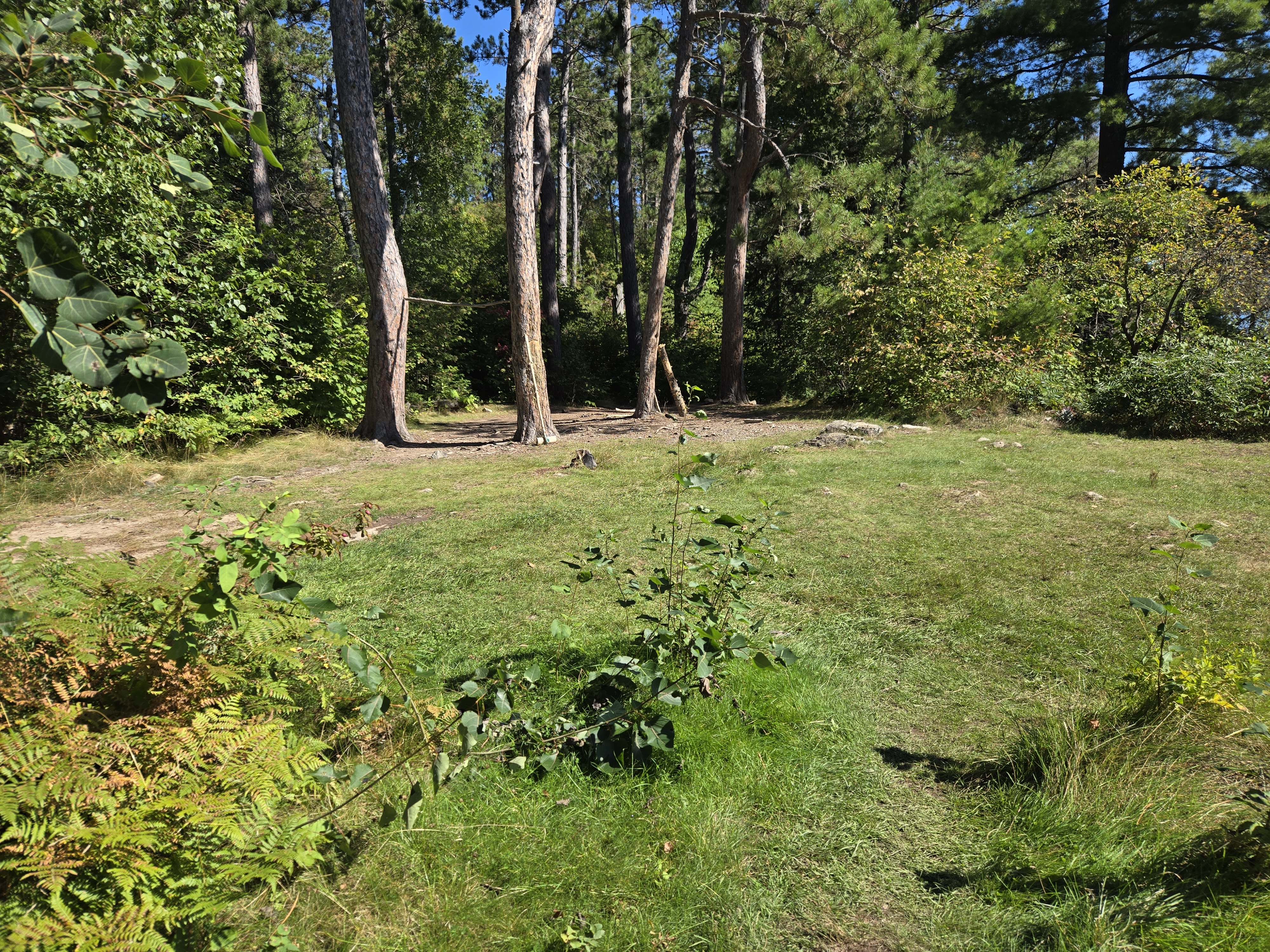 Main site area 1