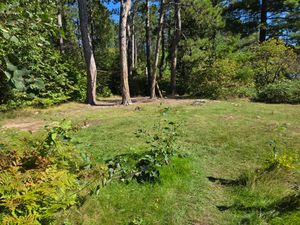 Main site area 1