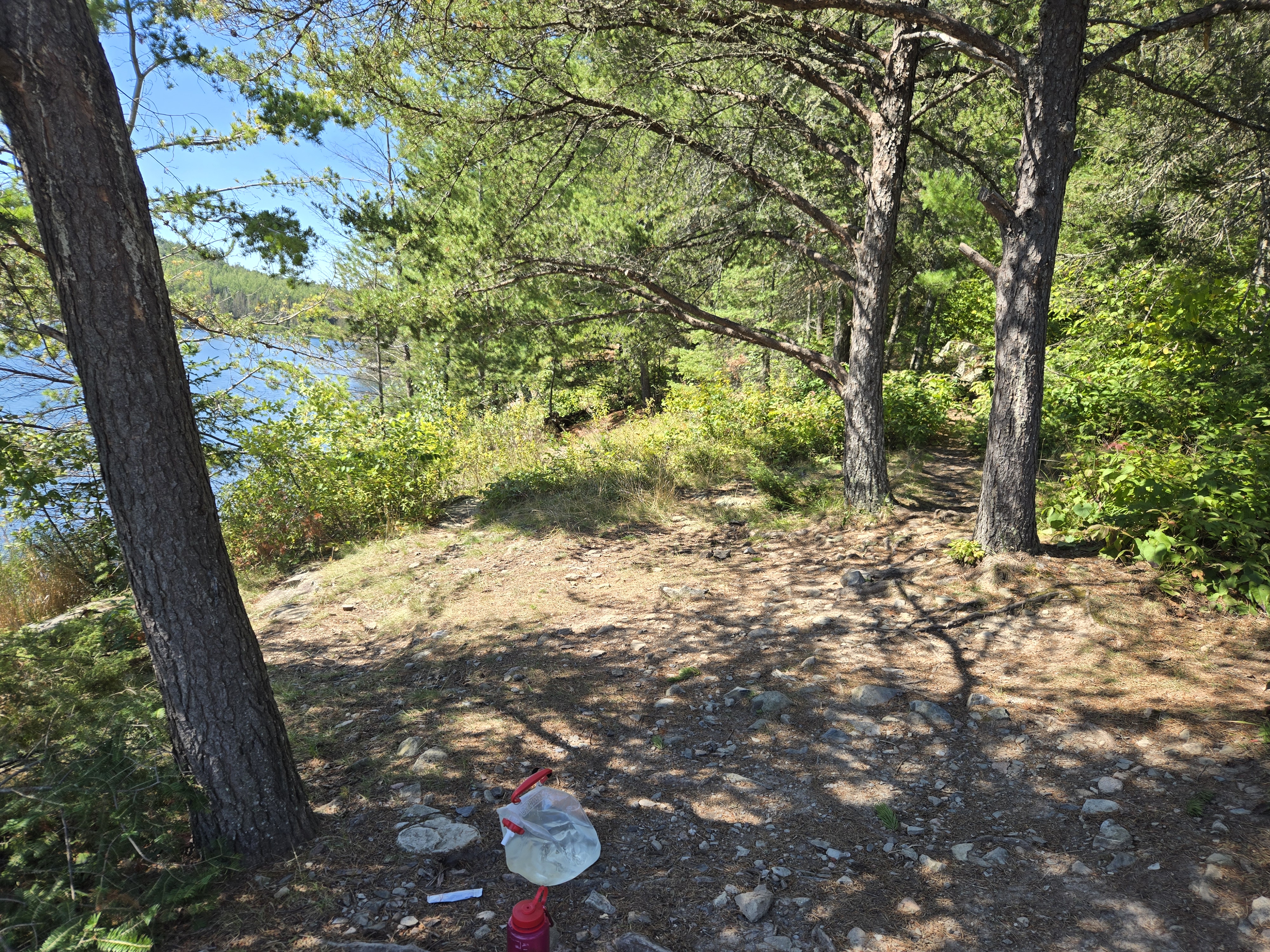 Nice lunch spot / hammock spot