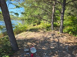 Nice lunch spot / hammock spot