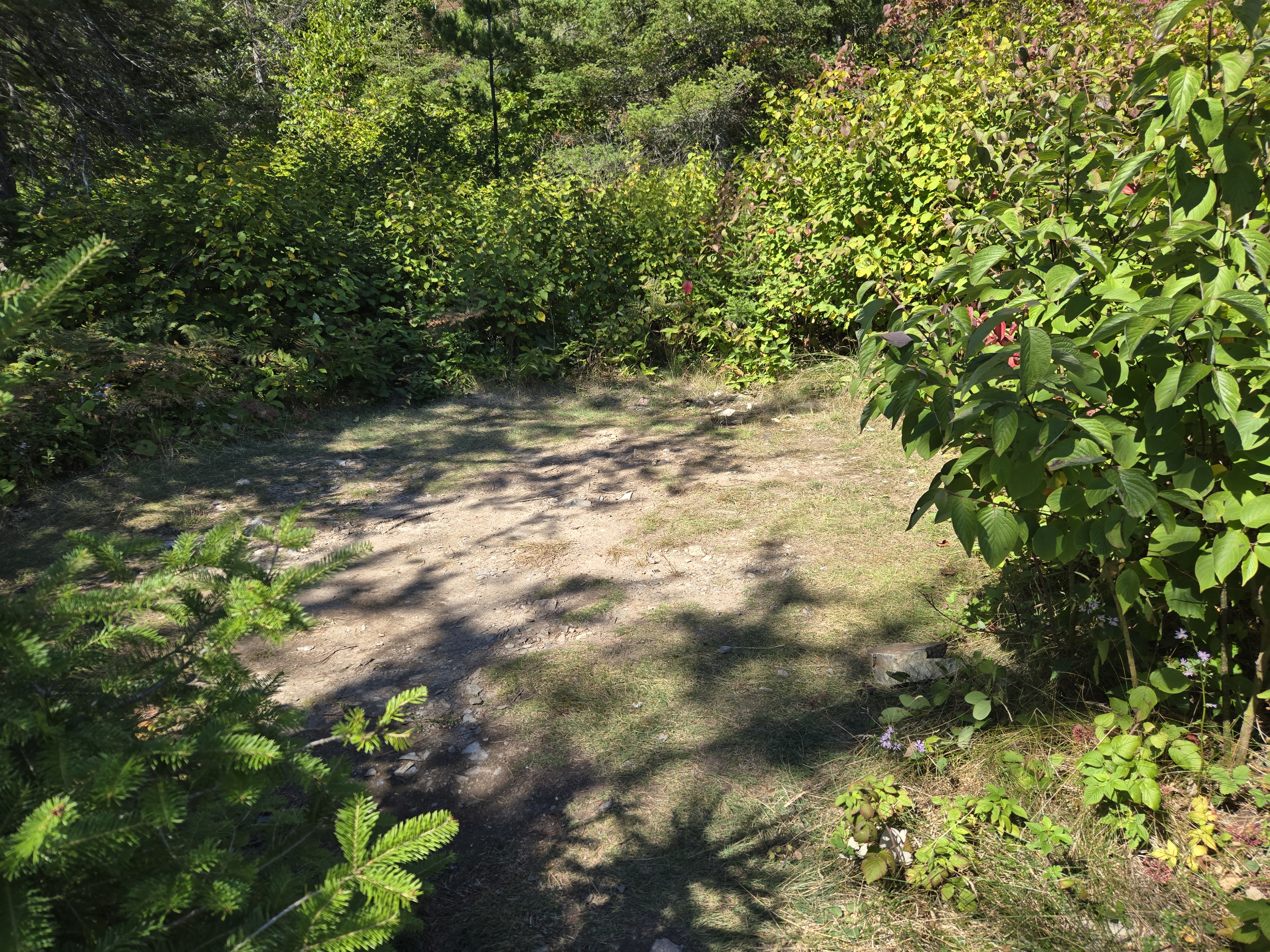 Additional poor tent pad
