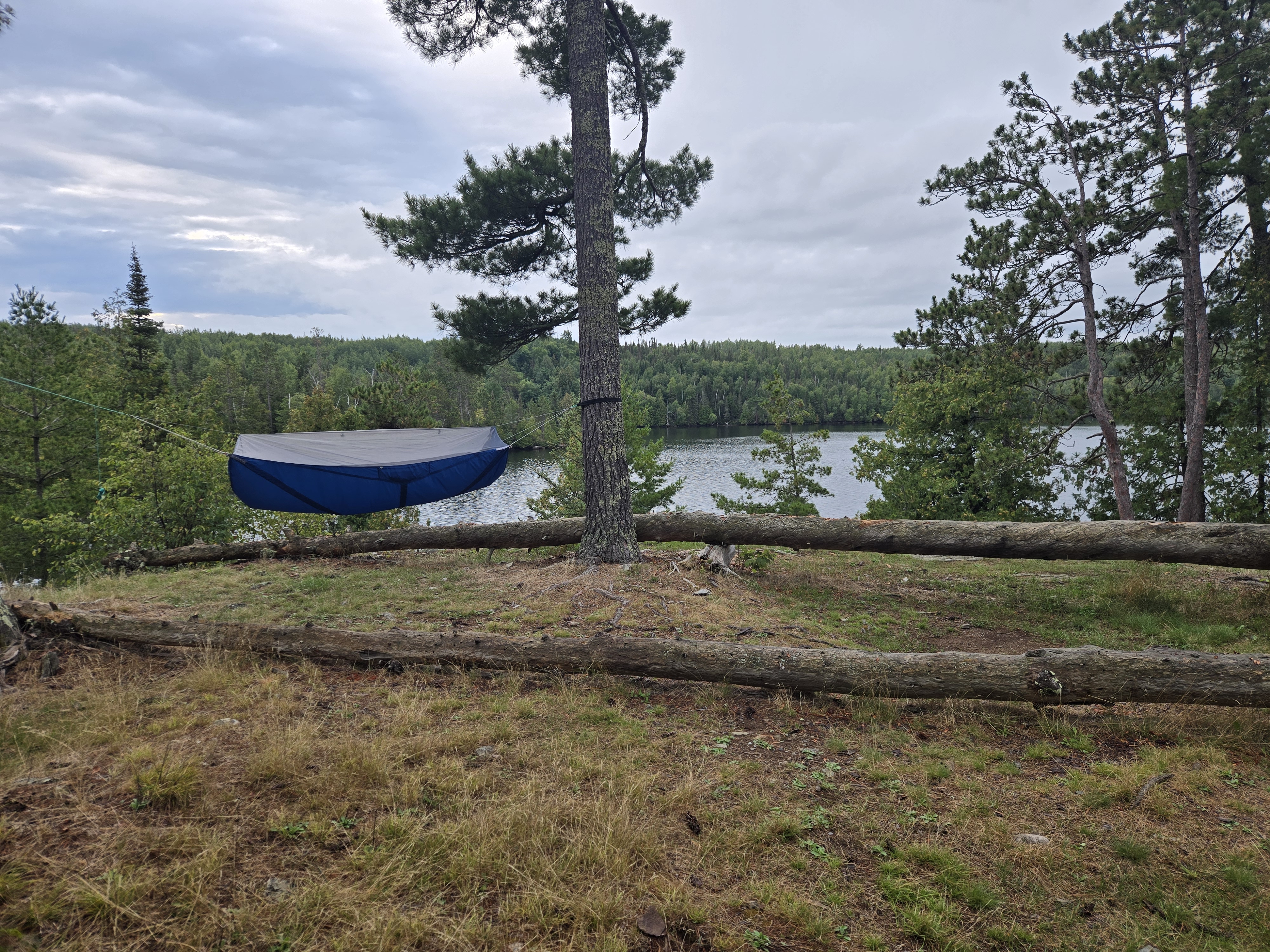 Fine hammock location for a clear night or overcast morning