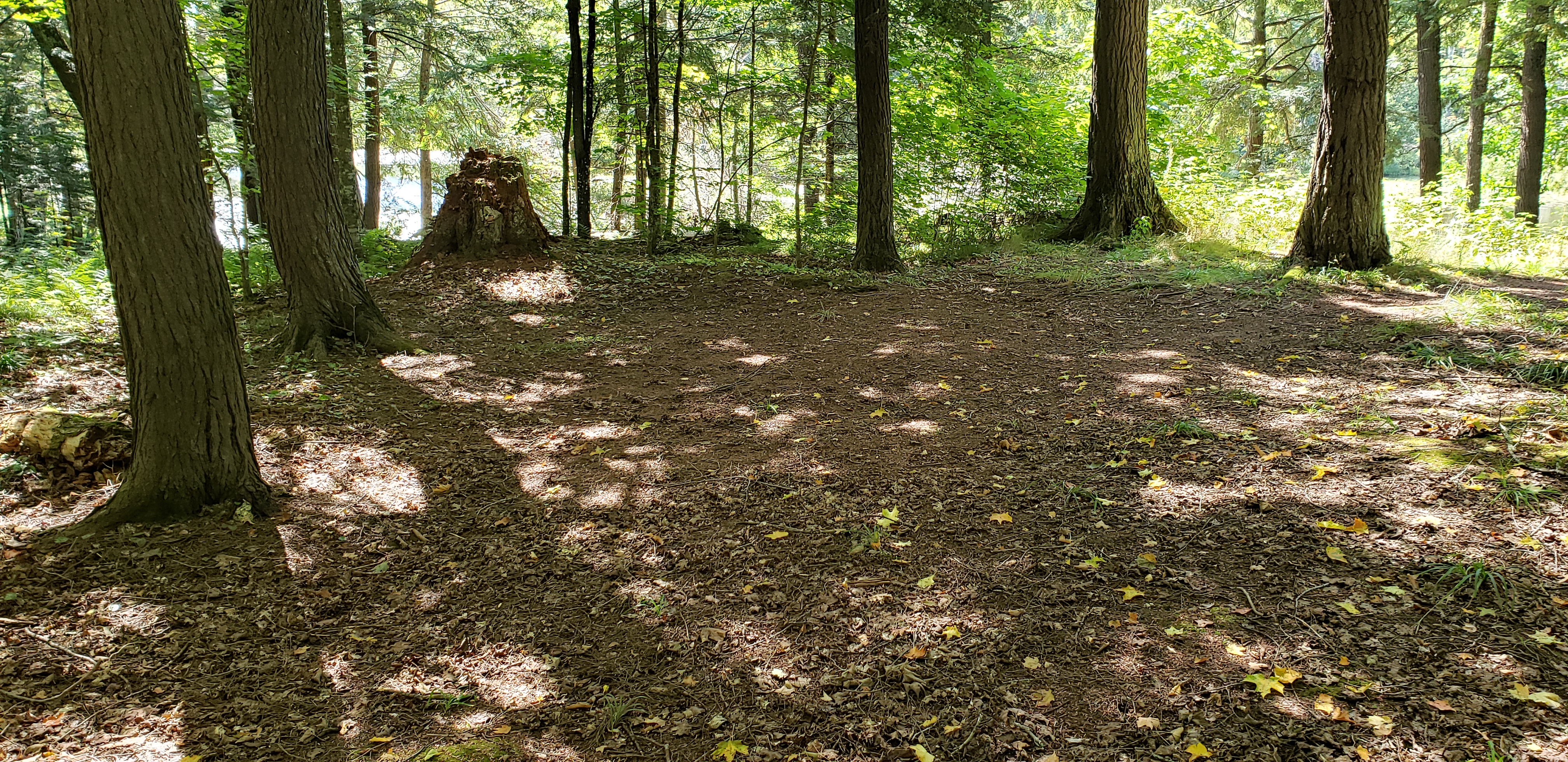 Campsite PL4