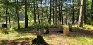 Campsite PL4