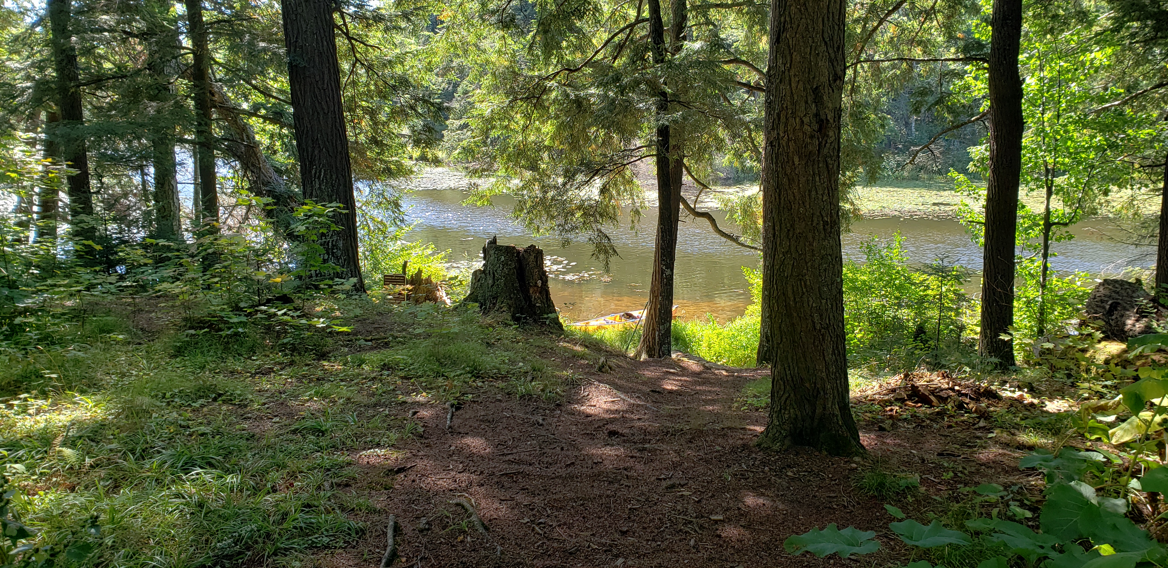 Campsite PL4