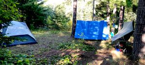 Campsite 1564
