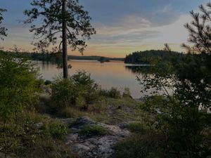 Campsite 1564