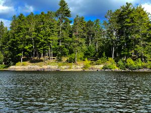 Campsite 1564