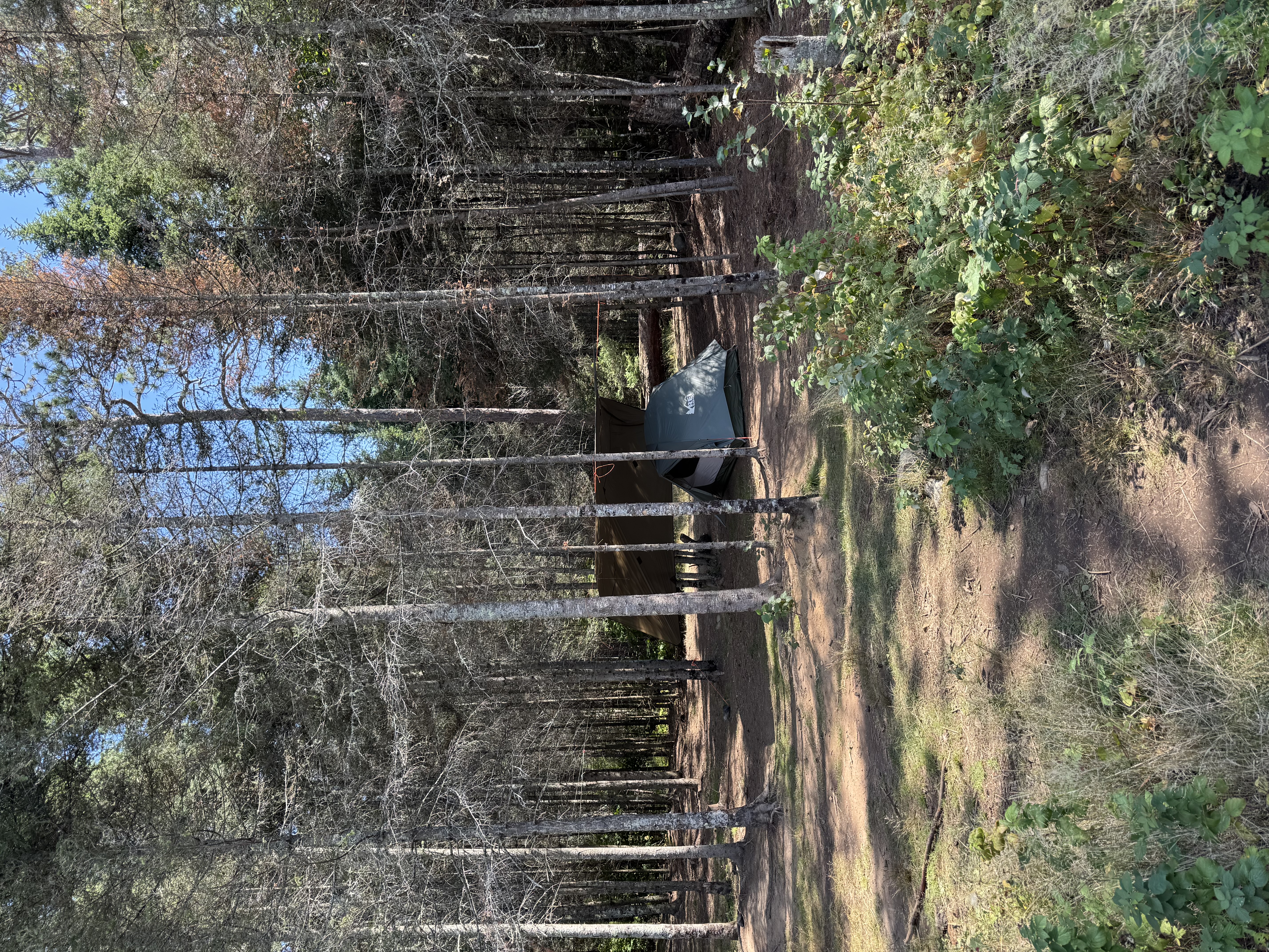 Tent sites
