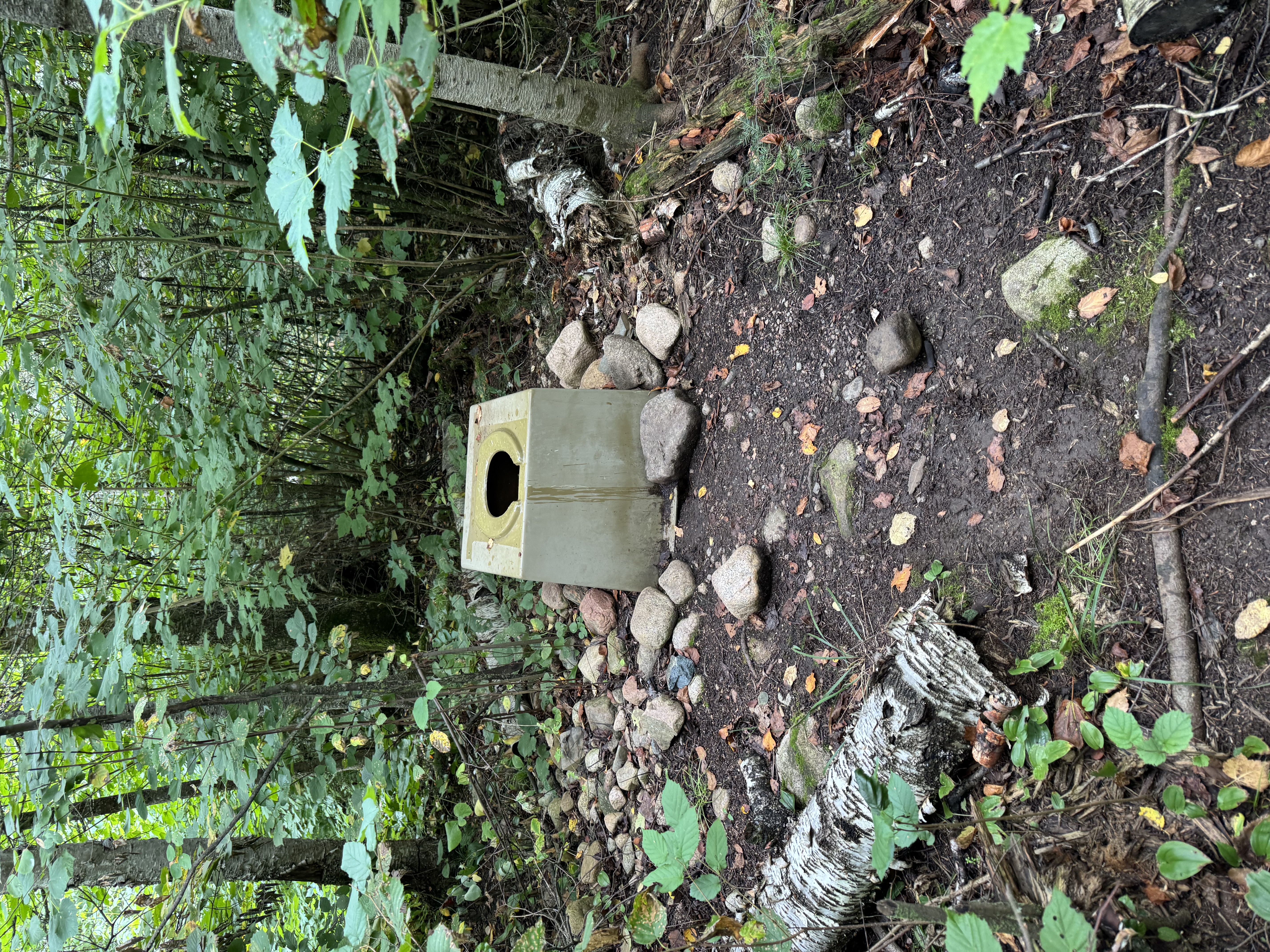 Latrine