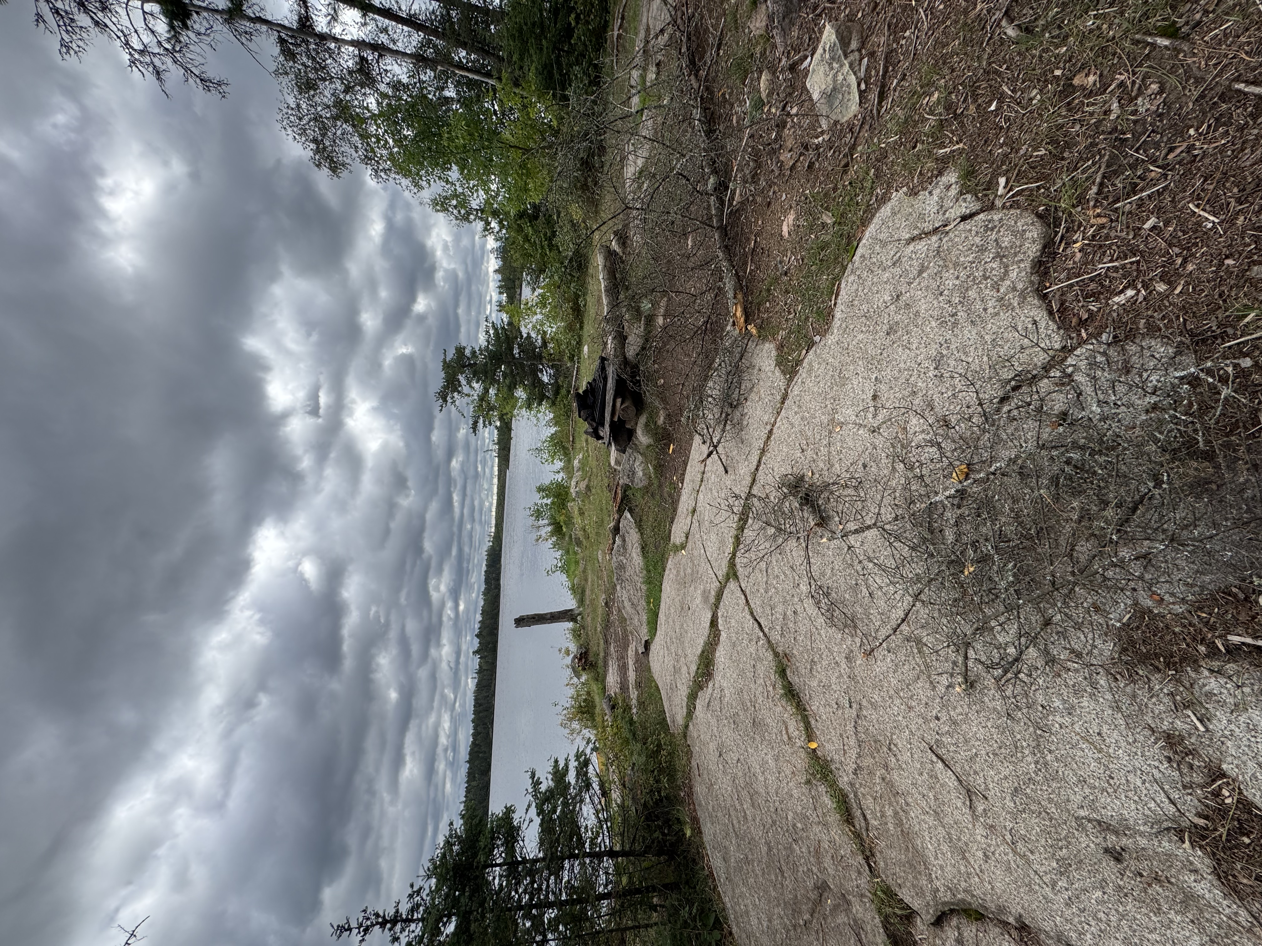 View
