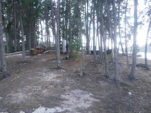 New Sabourin Lake Lodge shore lunch looking south