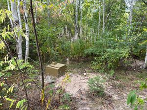 Campsite 801