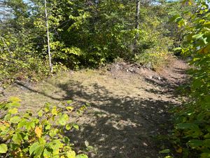 Campsite 1845