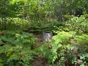 Campsite 1845