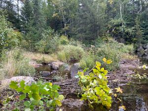 Portage 108