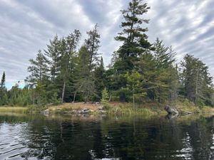Campsite 2218
