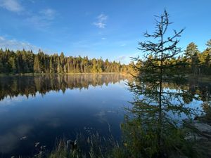 Campsite 2218