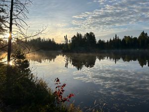 Campsite 2218