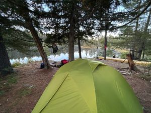 Campsite 2218