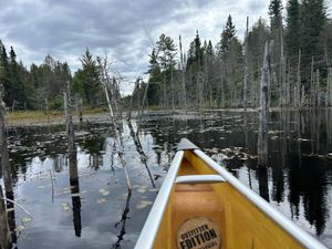 Portage 868