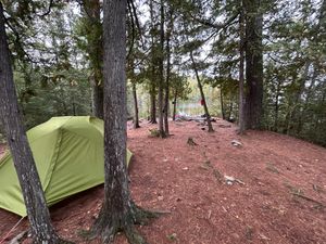 Campsite 1910