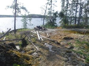 Dunstan Lake 5 star campsite on the only green/unburned island