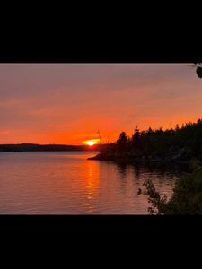 IMG_1123.jpeg