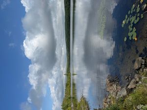 Portage 53