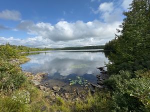 Portage 53