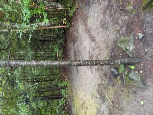 Campsite 789