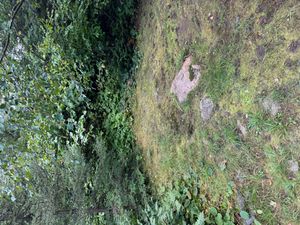Campsite 789