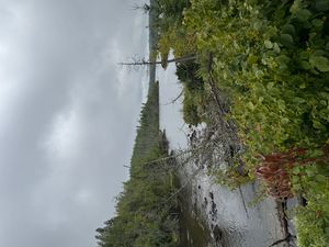 Portage 318