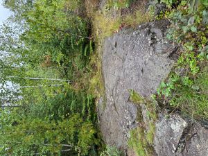 Campsite 798