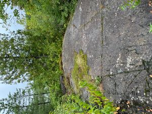 Campsite 798
