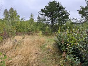 Campsite 798