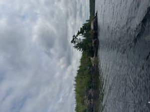 IMG_0954.jpeg