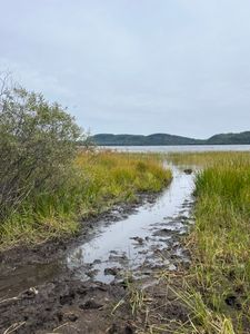 Portage 682