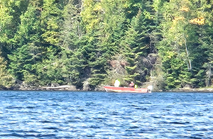 Campsite 721