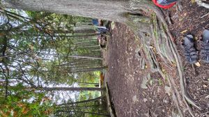 Campsite 723