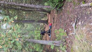 Campsite 723