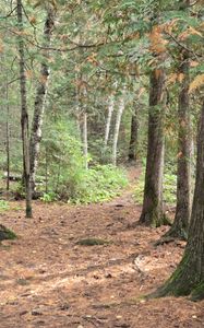 Campsite 723
