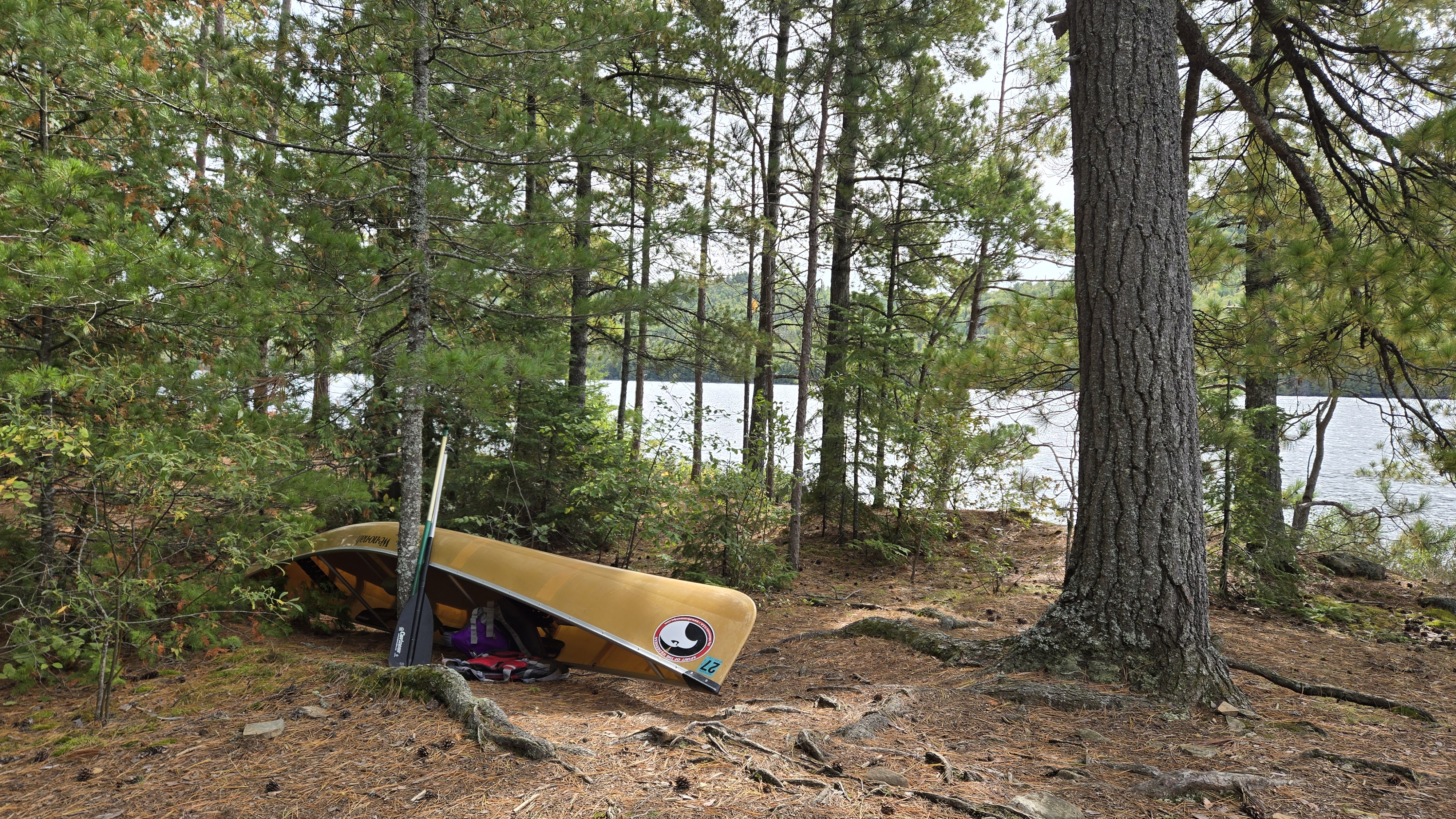 Campsite 726